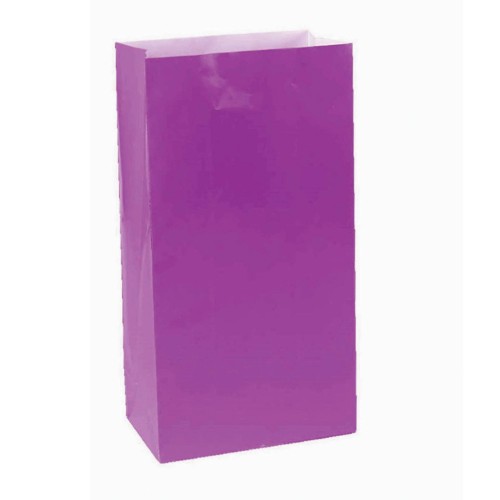 Large Paper - Bag New Purple (Pack of 12)