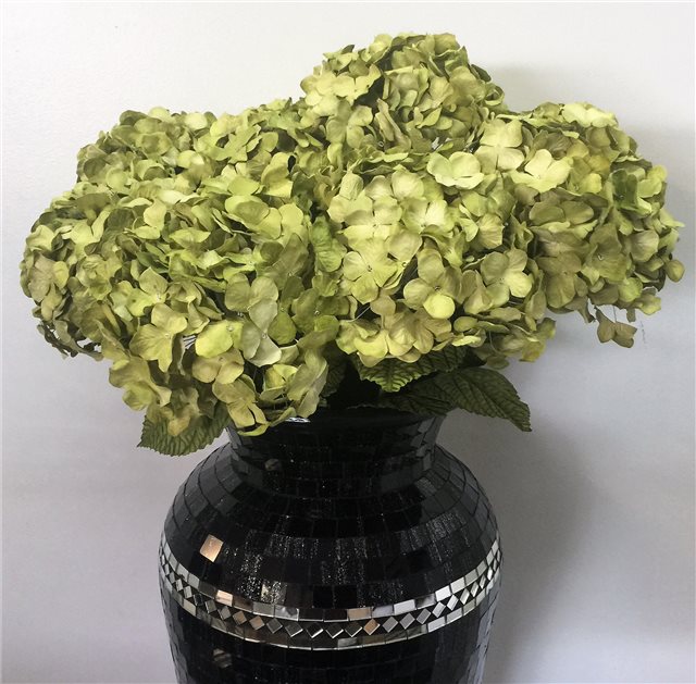 Lifelike bunch of 3 lemon green hydrangeas, perfect for home decor, events, and floral arrangements.