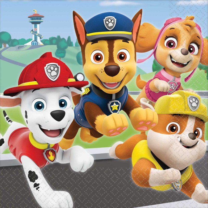 Paw Patrol Adventures Lunch Napkins - (Pack of 16)
