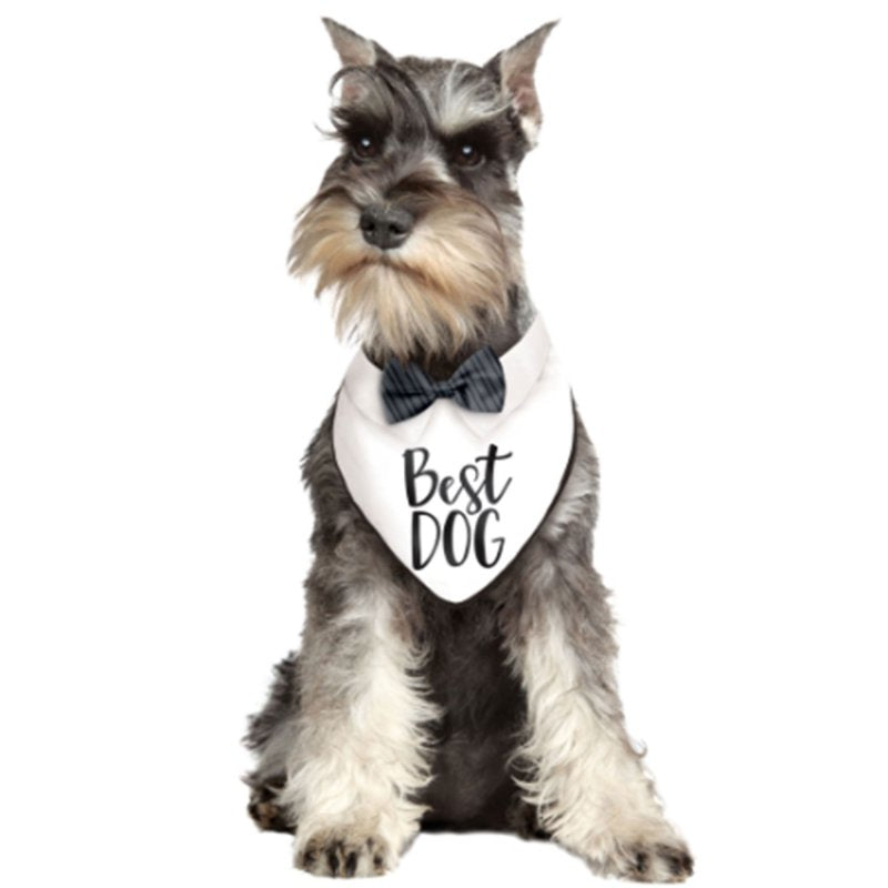 Stylish 36cm wedding bandana for dogs, perfect for ceremonies, making your pet the star of the day.