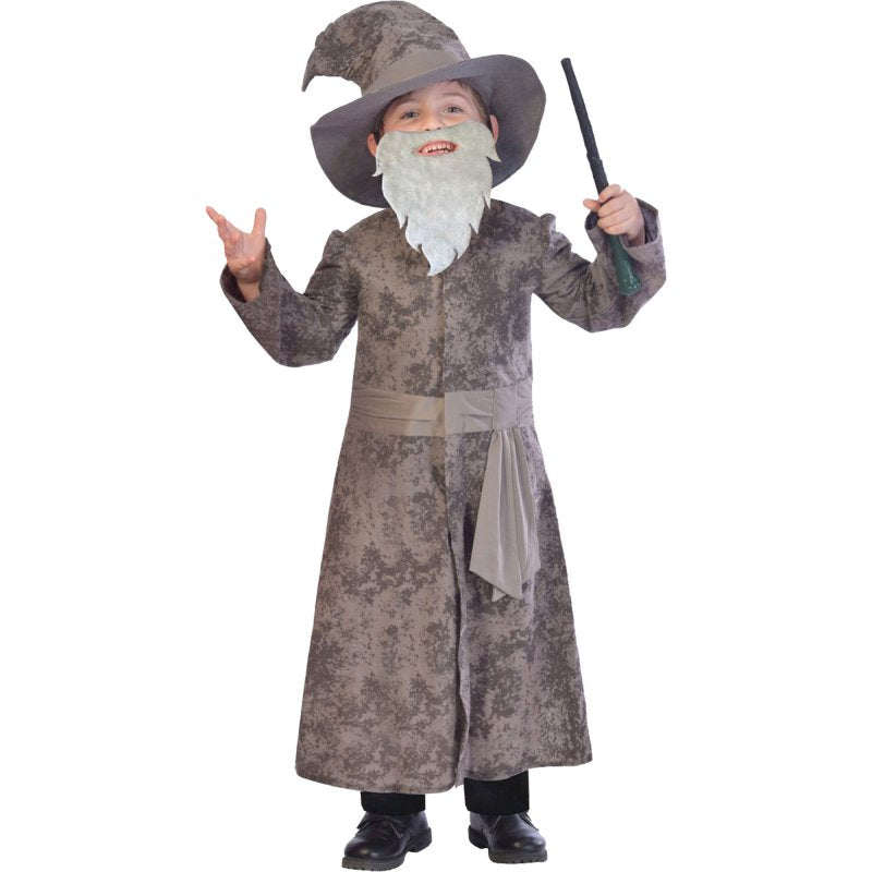 Costume - Wise Wizard (9-10 yrs)
