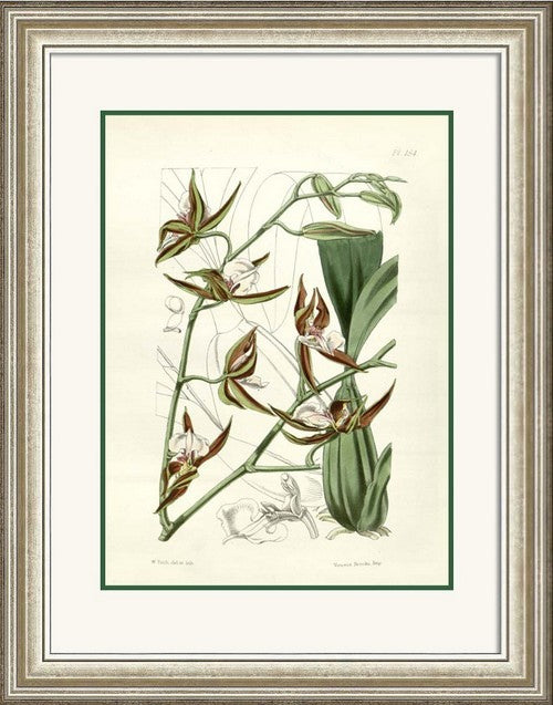 Framed 30x40cm art featuring vibrant plantlife, ready to hang with glass front for protection.