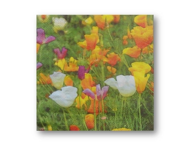 Premium 3-ply spring garden napkins, 60 pack, 33x33cm open, perfect for elegant dining occasions.
