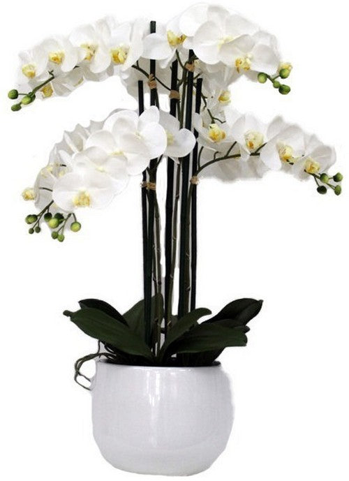 Artificial Plant with Real Touch Orchid - 6 Spray