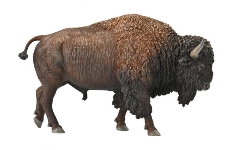 CollectA American Bison