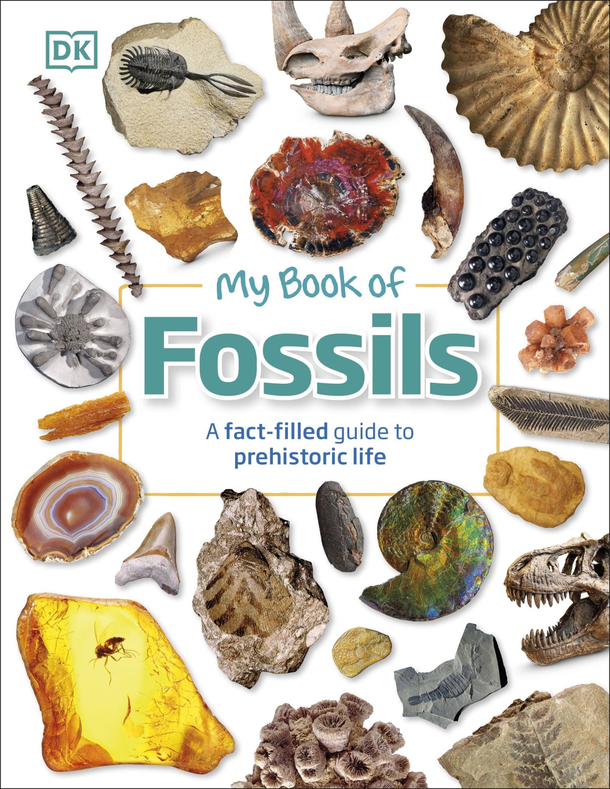 Colorful hardcover book with striking fossil photographs and engaging content for young paleontology enthusiasts.