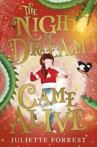 A captivating children's book about Ollo's quest for magical dreams and adventures in a whimsical town.