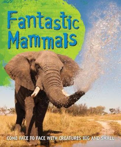 Colorful illustrated cover of "Fast Facts! Fantastic Mammals," a children's book showcasing fascinating mammal facts.