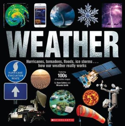 A visually stunning guide exploring weather phenomena, from tornadoes to blizzards, perfect for young scientists.
