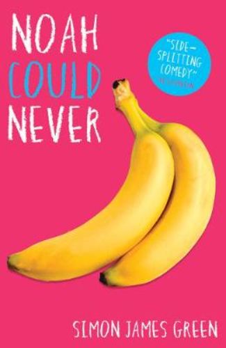 Book cover of "Noah Could Never," showcasing vibrant characters and themes of teenage love and adventure in a whimsical setting.
