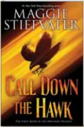 Cover of *Call Down the Hawk*, a fantasy paperback by Maggie Stiefvater, exploring the power of dreams and identity.
