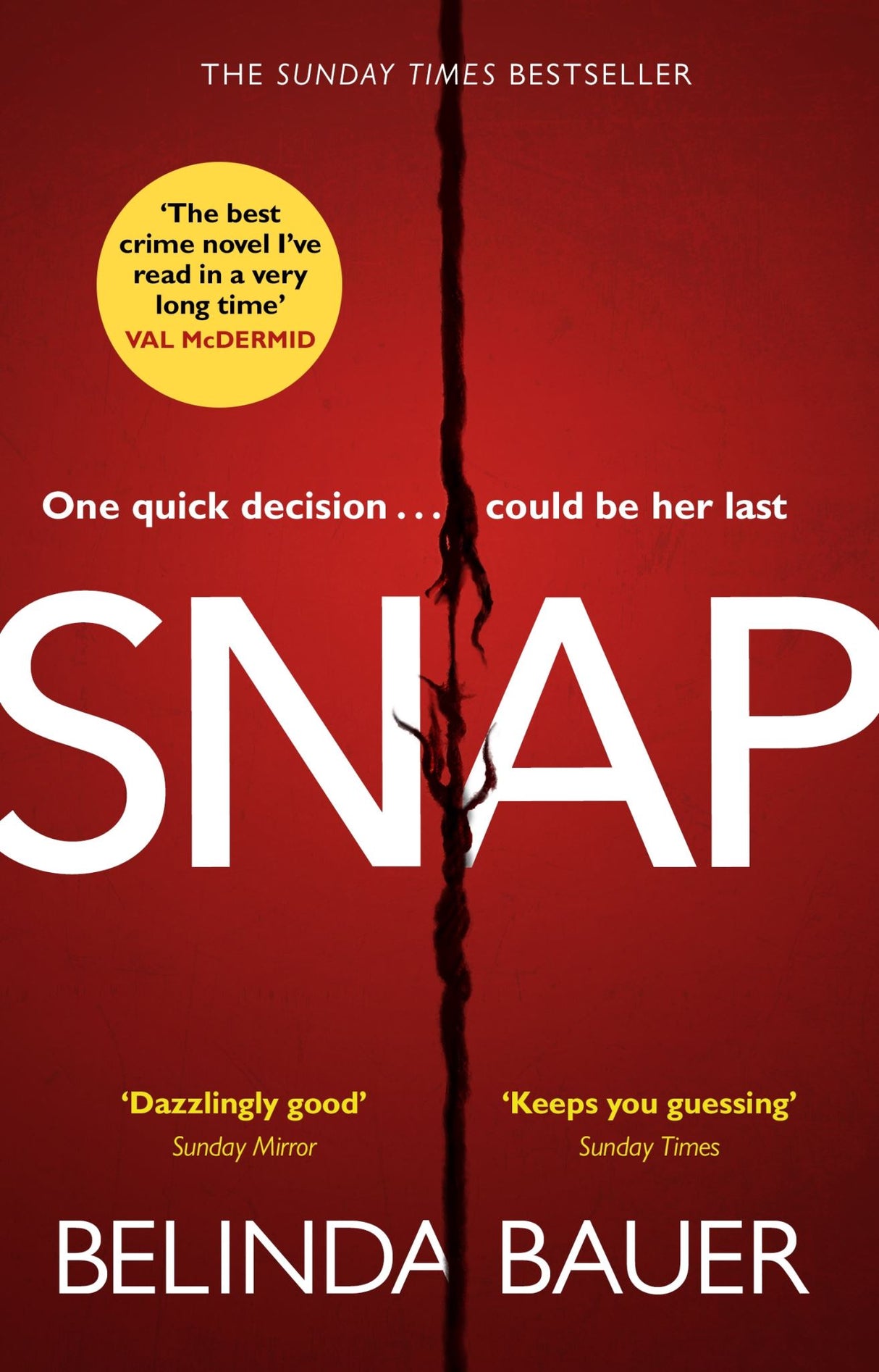 A gripping crime novel 'Snap' by Belinda Bauer, exploring themes of family, loss, and the quest for truth in a suspenseful narrative.