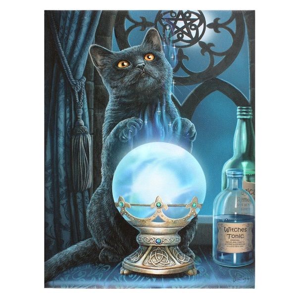 Whimsical canvas by Lisa Parker featuring 'The Witches Apprentice', perfect for witchcraft-themed decor, 25x19 cm.