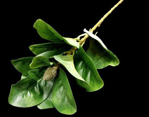 Lifelike Magnolia Leaf Spray with delicate buds, perfect for elegant floral arrangements and versatile home decor.