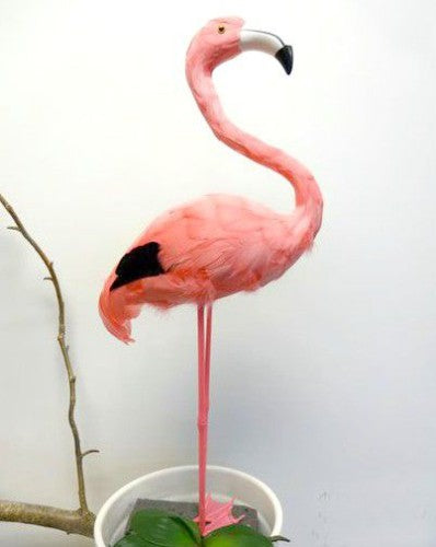 Large pink standing flamingo ornament, 56cm tall, perfect for tropical decor indoors or outdoors.