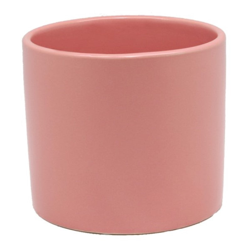 Dusky pink ceramic cylinder vase/planter, perfect for vibrant blooms or lush greenery in any setting.