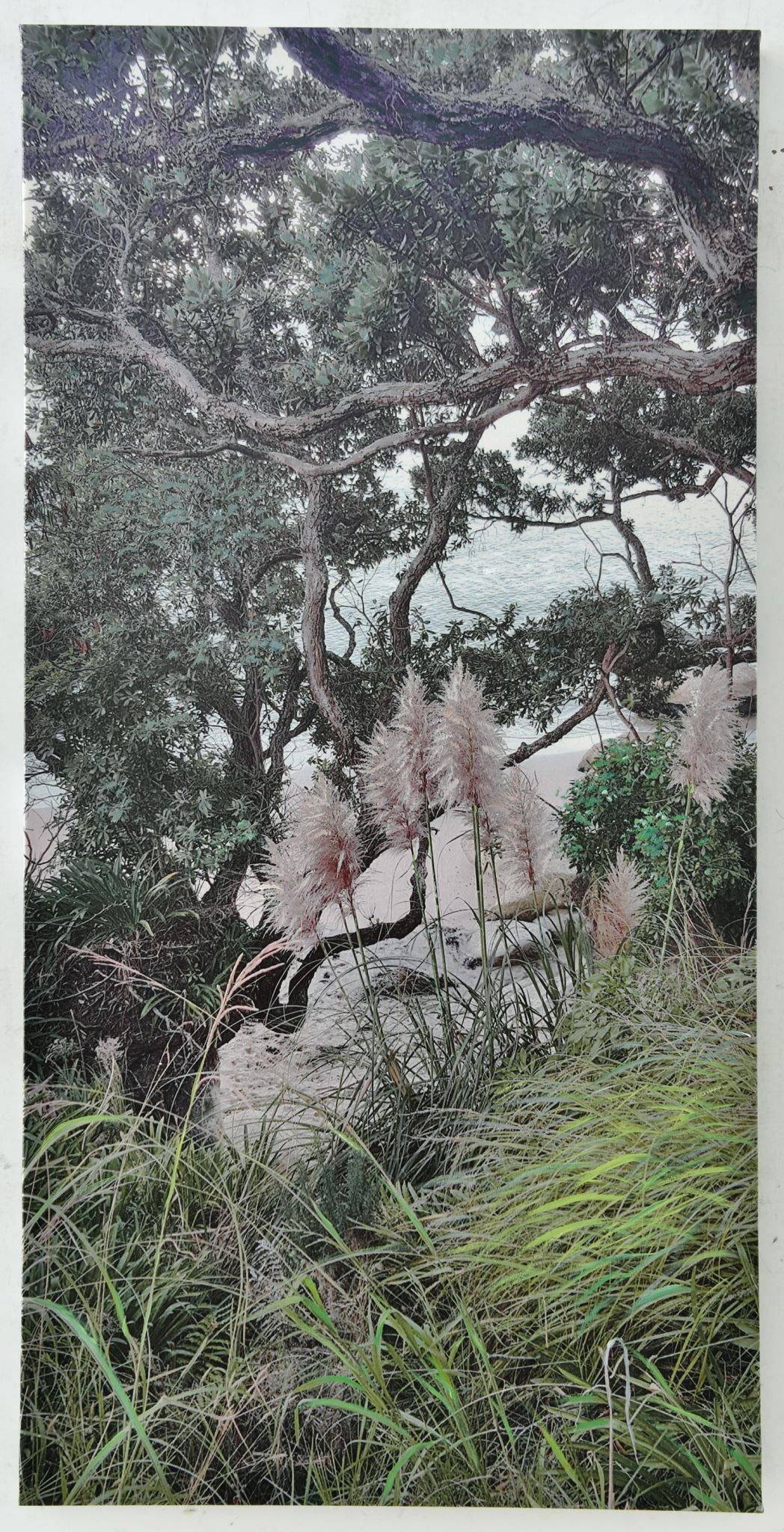 A vibrant canvas painting of a Kiwi beach and bush setting, featuring hand-painted highlights, measuring 1200 x 800mm.