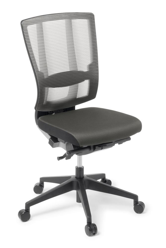 Ergonomic Cloud office chair with flex mesh backrest and height adjustable lumbar support for optimal comfort.