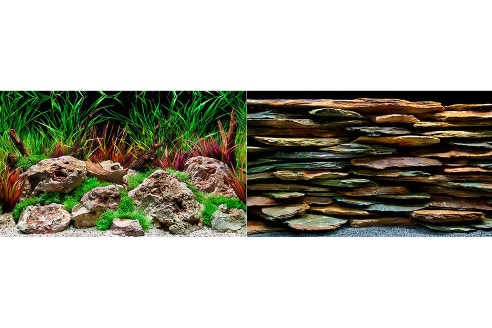 Vibrant aquarium backdrop enhancing visual appeal and hiding equipment, perfect for freshwater and saltwater tanks.