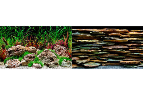 Vibrant aquarium backdrop enhancing visual appeal and hiding equipment, perfect for freshwater and saltwater tanks.