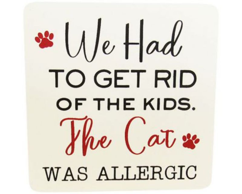 Wooden pet magnet featuring a whimsical design to raise awareness about cat allergies, perfect for any magnetic surface.