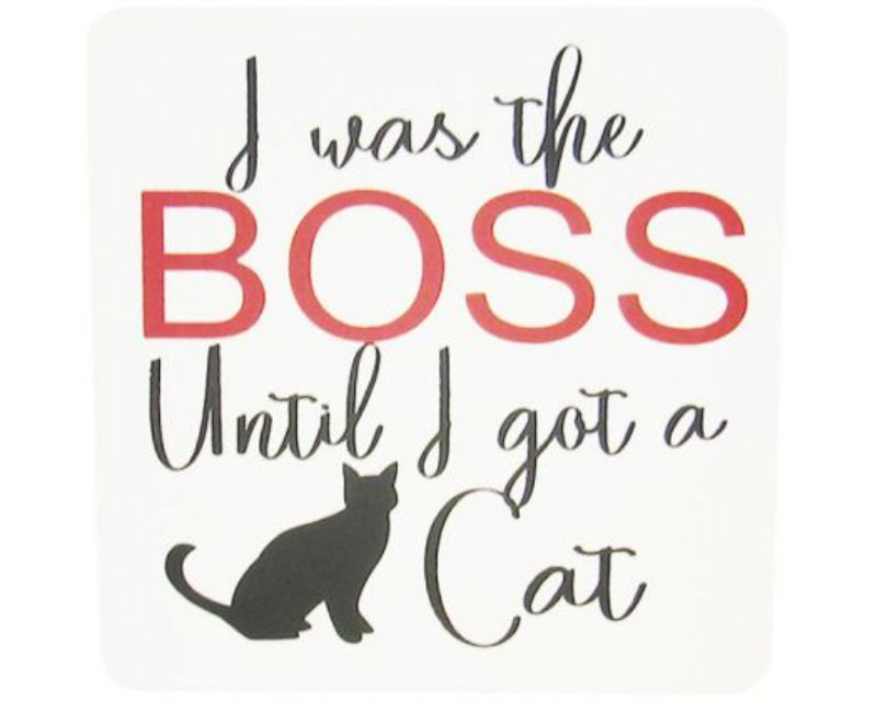 Wooden Cat Boss magnet measuring 10x10 cm, perfect for cat lovers, featuring a playful design for home décor.