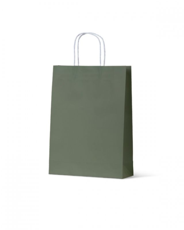 Earth Green medium paper bags from the Earth Collection, 200 units, eco-friendly, biodegradable, stylish for retail and gifts.