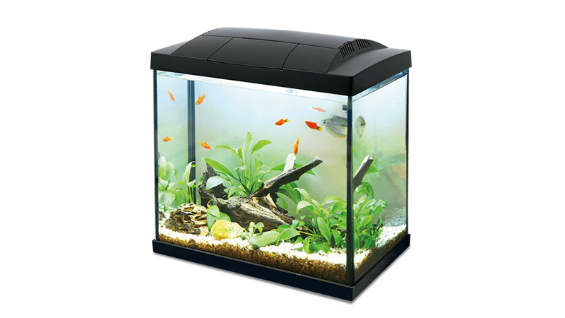 Aquarium - Hailea LED Aquarium 30L - Black