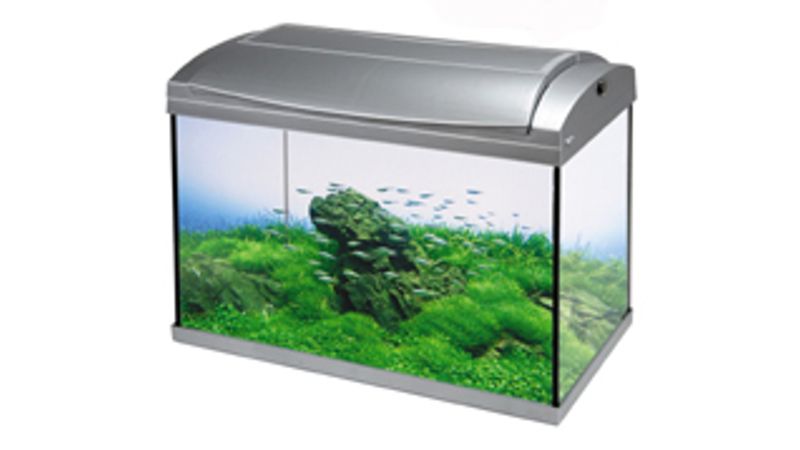 Fish Aquarium - Hailea LED 30L (White)