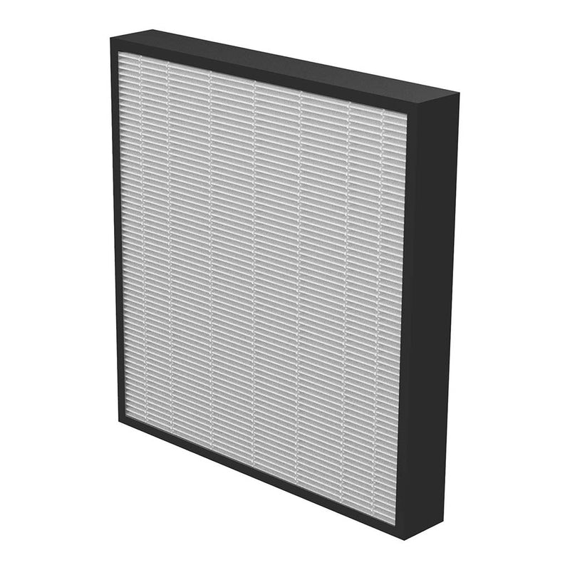 AeraMax PRO AM3-4 HEPA Filter with Antimicrobial Treatment, Pack of 2