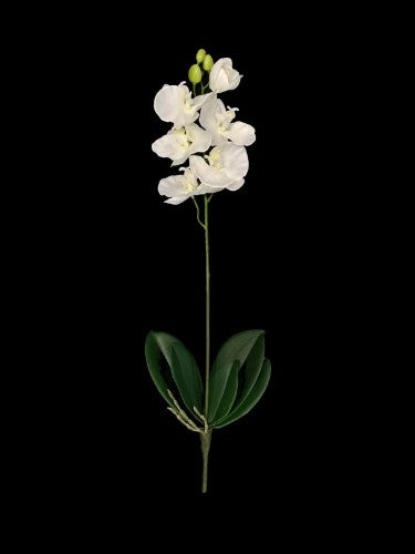 Lifelike white Phalaenopsis orchid spray with lush green leaves, perfect for elegant home decor and special events.