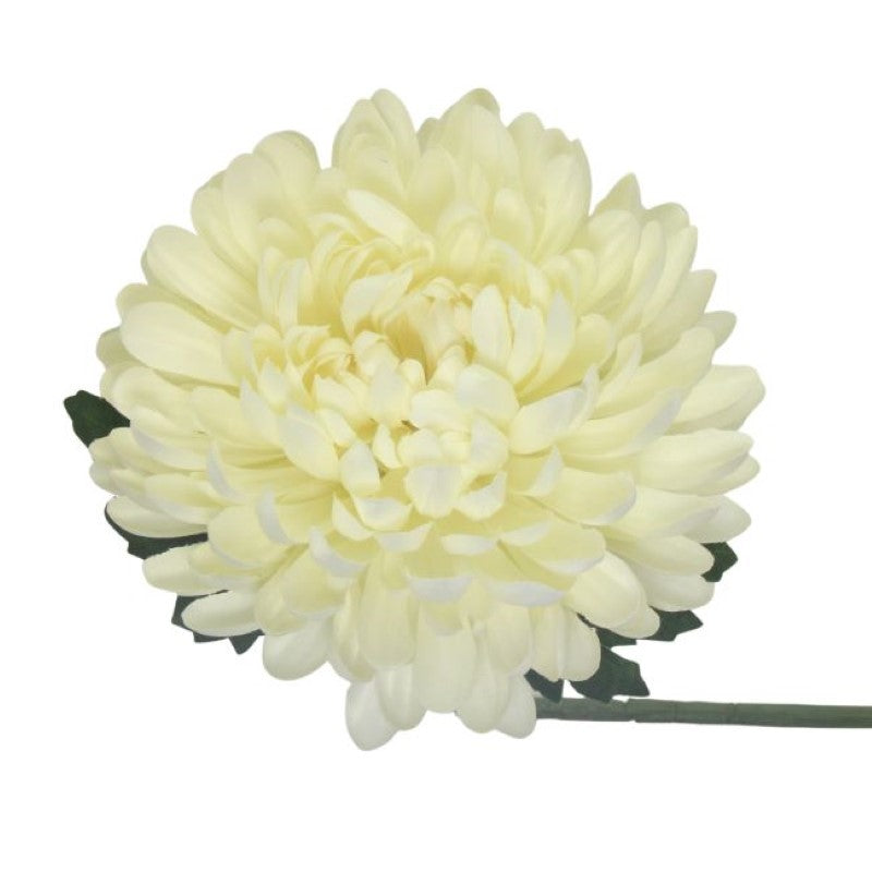 Lifelike cream chrysanthemum flower stem, 56cm tall, ideal for year-round home decor and low-maintenance arrangements.