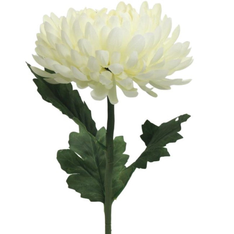 Lifelike cream artificial chrysanthemum stem, 56cm tall, perfect for elegant home decor and low-maintenance arrangements.