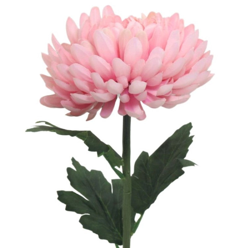 Lifelike pink chrysanthemum stem at 56cm, perfect for elegant home decor and low-maintenance floral arrangements.