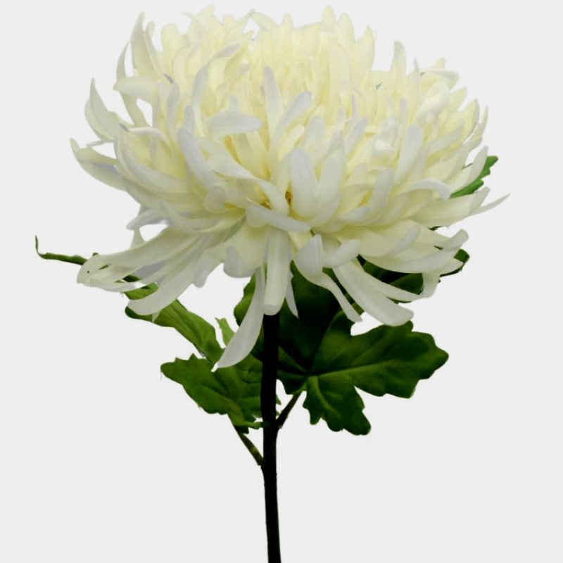 Lifelike cream chrysanthemum stem, 73cm tall, perfect for elegant home decor and floral arrangements without maintenance.