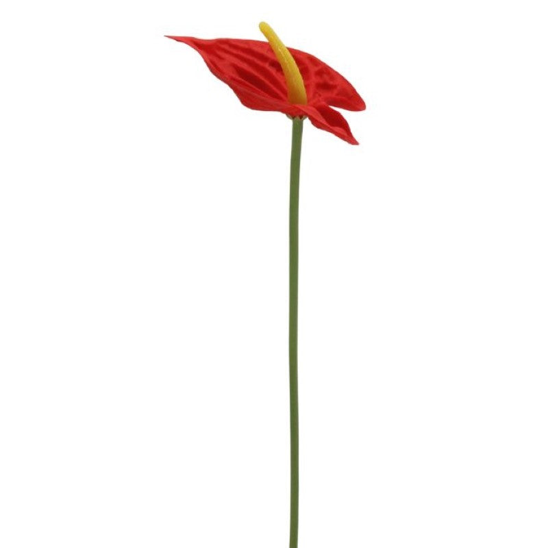Realistic single red mini anthurium, 34cm tall, perfect for elegant home decor and maintenance-free floral arrangements.