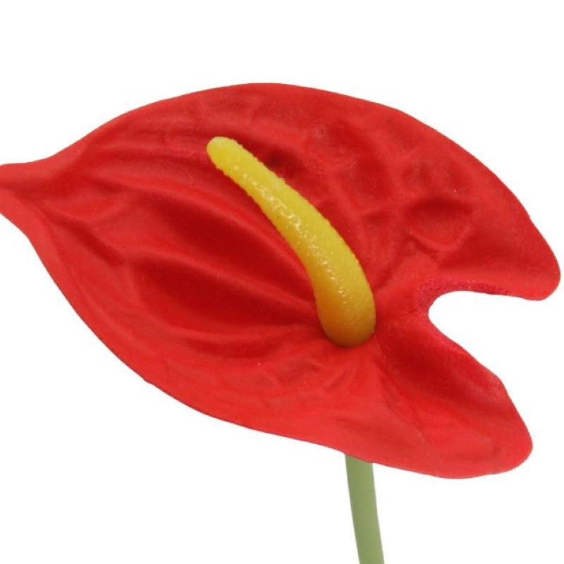 Realistic single red mini anthurium flower, 34cm tall, perfect for elegant home decor and maintenance-free arrangements.