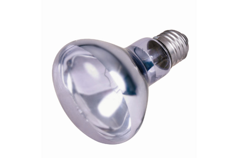 Neodymium Basking Spot-Lamp 100w - Reptiland Lighting