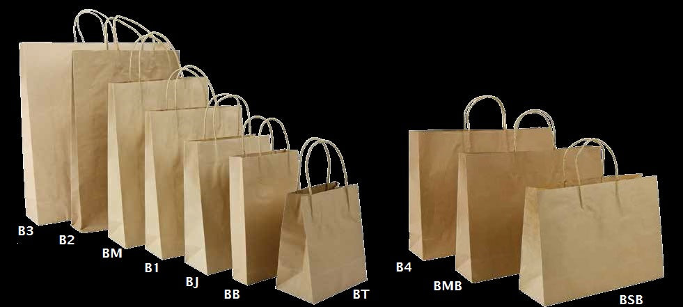 Brown paper bags (250) with durable twisted handles, eco-friendly 25x35cm size, ideal for retail and grocery packaging.