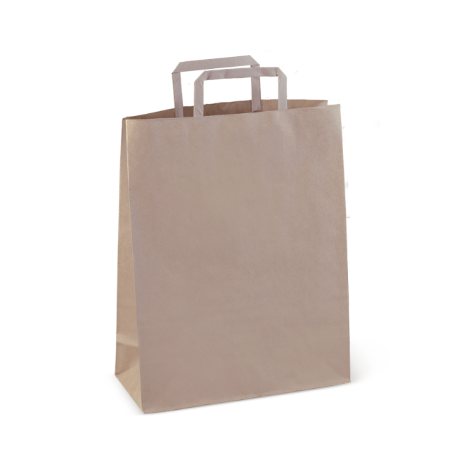Eco-friendly flat handle paper carry bags, 300 x 240 x 100 mm, pack of 50, durable and recyclable for retail and events.