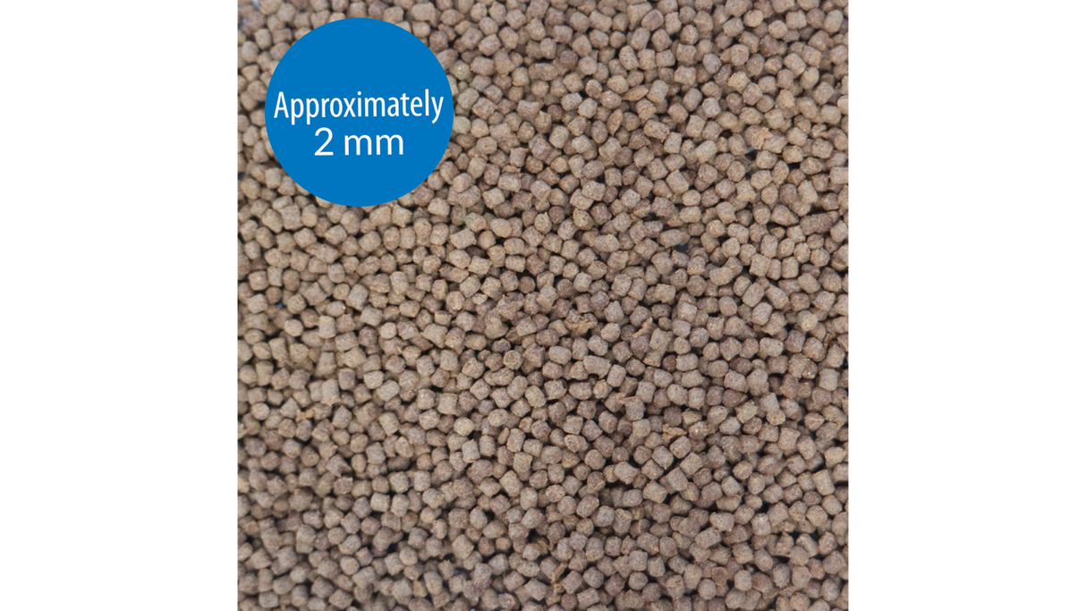 API Betta Pellets 22g package showcasing premium nutrition for vibrant and healthy Betta fish.