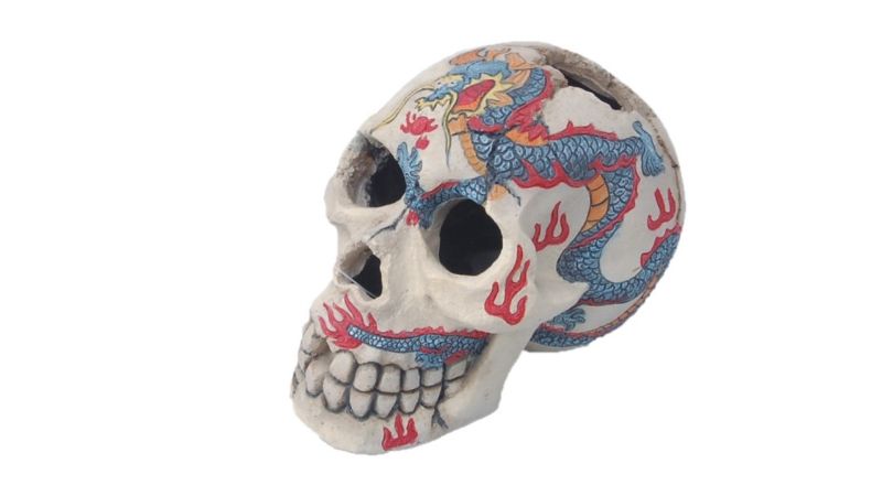 Skull-shaped aquarium ornament (15cm) adds unique style and hiding spots for fish, made from durable, non-toxic materials.