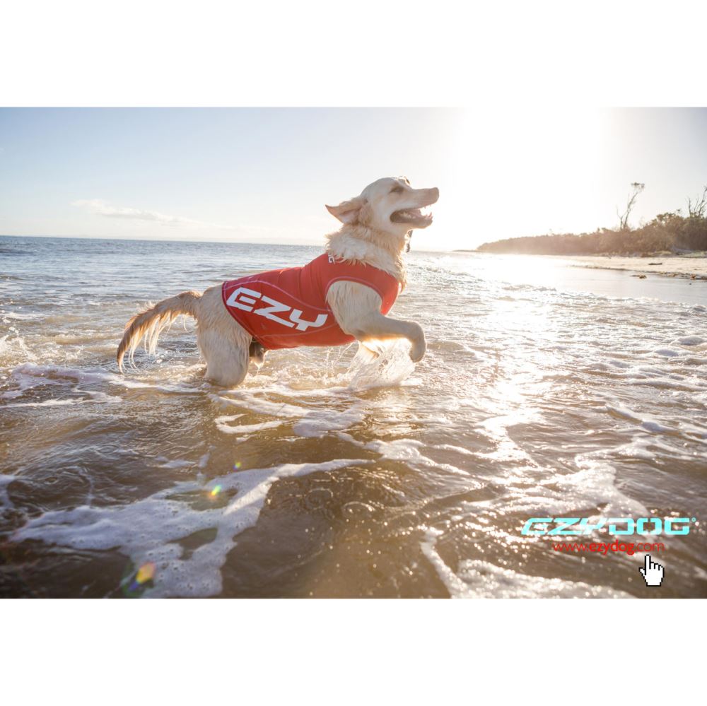Dog Rashie in XS size (30cm) for small dogs, providing 50+ UV protection and comfort during beach outings.