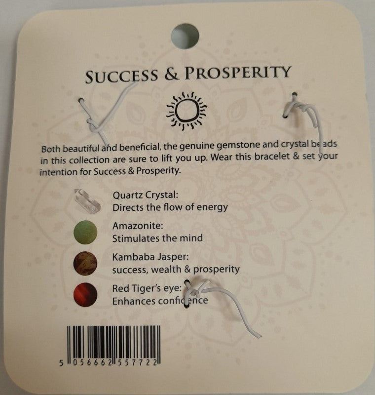 Power Bracelet - Success and Prosperity (Set of 6)
