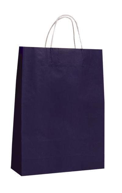 Vibrant purple paper carry bags, eco-friendly and stylish, ideal for retail and promotions, measuring 290mm x 200mm.