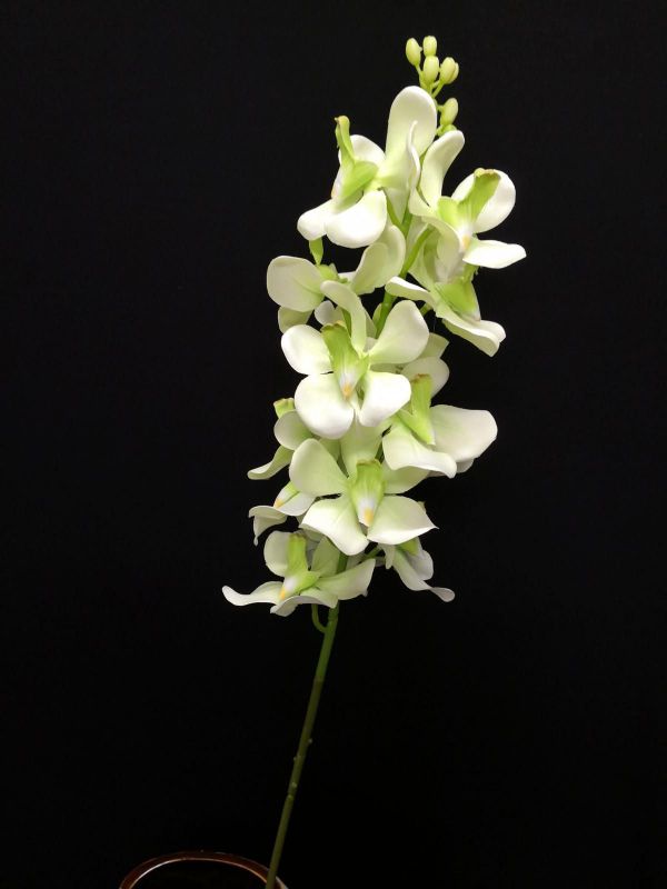 Lifelike green Dendrobium orchid stem, perfect for elegant floral arrangements and low-maintenance decor.