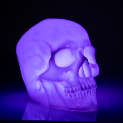 Speaker - Skull