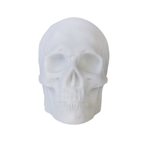 Speaker - Skull