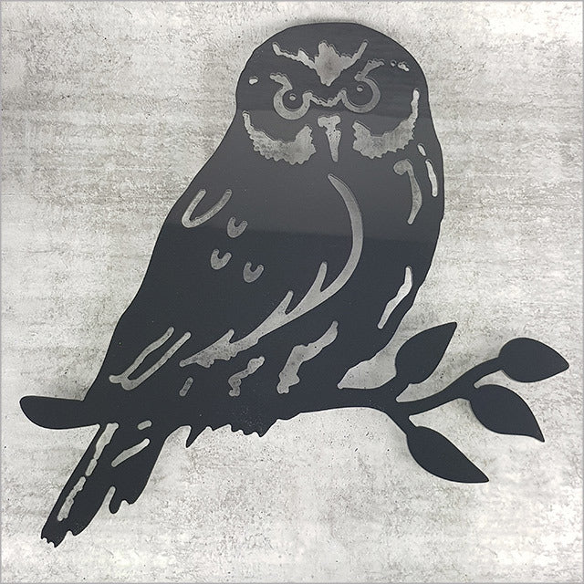 Black wall art featuring a Ruru bird on a branch, crafted from durable 4mm ACM, perfect for any indoor or outdoor decor.