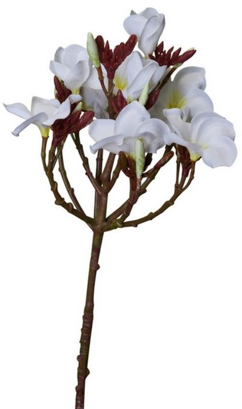 Lifelike white Plumeria Spray measuring 700mm, perfect for home decor, weddings, and enhancing floral arrangements.